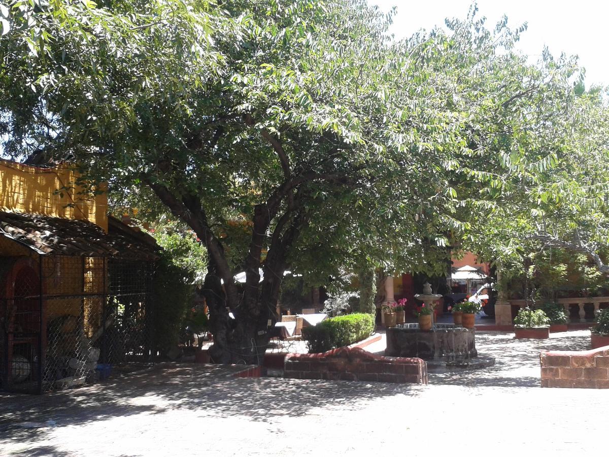 Hotel Sautto Σαν Μιγκέλ ντε Αγιέντε Εξωτερικό φωτογραφία