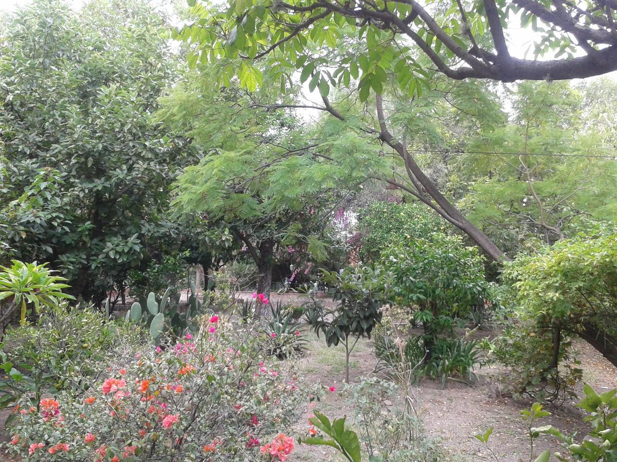 Hotel Sautto Σαν Μιγκέλ ντε Αγιέντε Εξωτερικό φωτογραφία